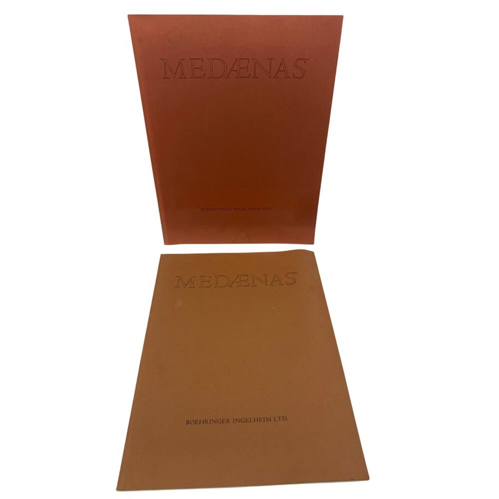 Medaenas Monographs: Rembrandt & Michelangelo 1980–81 Met Museum Edition Folios
